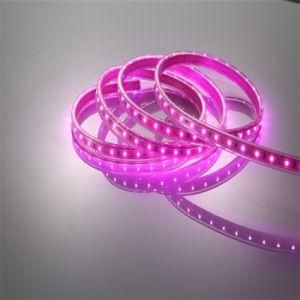 110V/230V Holiday Decoration Outdoor IP65 RGB SMD LED Strip Light