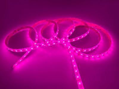 24V IP54 Waterproof RGBW LED Multicolor Strip Light