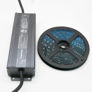 12V Lamps LED Strip Light with Dali Dimming Driver Adapter