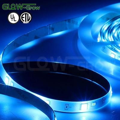 12V 24V 5050 RGBW LED Strip Light with ETL Listed for House Decoration