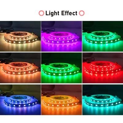 Voice Control Cx Lighting Indoor LED Light for Living Room