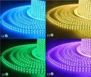 Indoor or Outdoor IP68 3528 LED Strip RGB Lighting LED