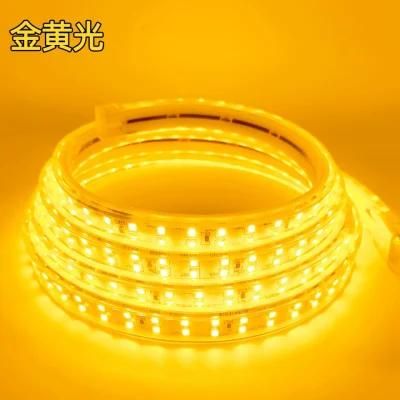 60SMD/M One Line AC220-240V Waterproof LED Strip Light