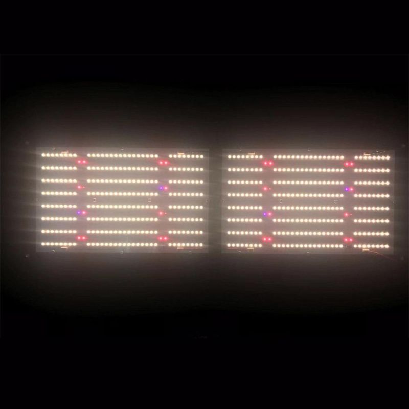 240W Sam-Sung Lm301h LED Growing Light