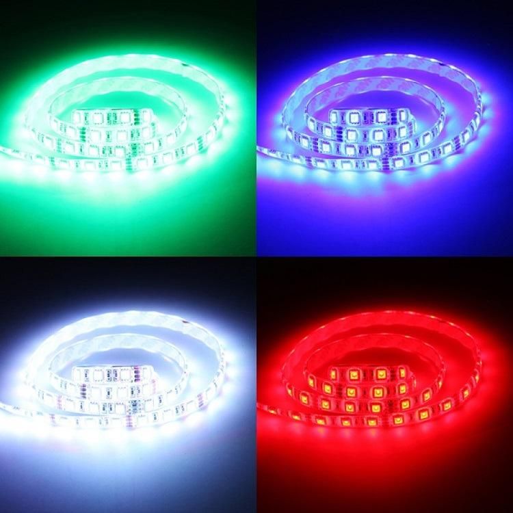 Programmable Digital Full Color LED Strip with 5050 12V/24V Chips