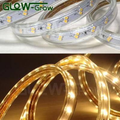 8W/M 120V 50m IP65 600lm/M 60*2LEDs/M 2835 LED Strip Light