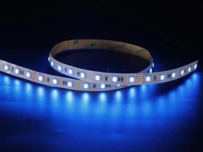 5 Years Warranty 24V Flexible SMD 5050 60LEDs CCT Dimming Waterproof LED Strip Light