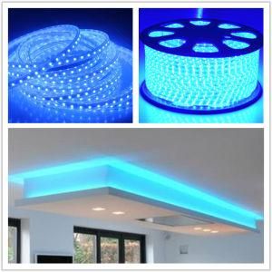 SMD3528 60LEDs Dimmable Indoor Home Decoration Blue LED Rope
