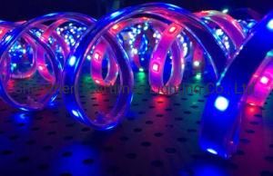 5 Years Warranty Manufacture High Brightness RGB DMX Control LED Flexible Strip Wedding Decoration Lighting Christmas Decorations Light