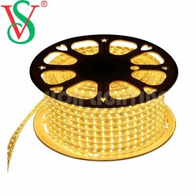 Christmas Outdoor Decoration IP65 High Quality Flexible LED Strip Light