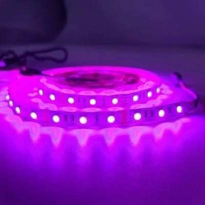 2022 DC12V RGB Smart Strip Light for Party Decoration