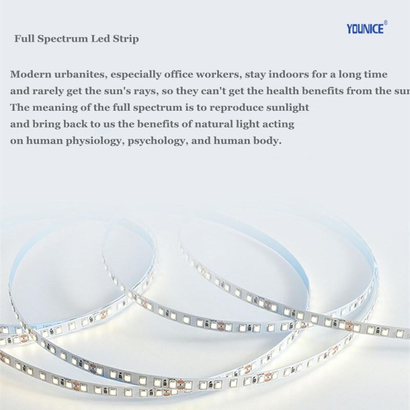 CRI>95 Ra>97 Rg>98 RF>96 Full Spectrum 3000K LED Strip