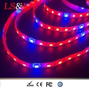 LED Plant Grow Strip Light with DC12/24V 60LEDs/M Ce &amp; RoHS