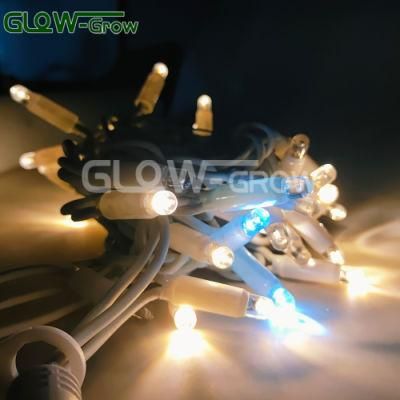 Warm White IP65 Waterproof Outdoor Use EU Market High Quality Christmas Customized LED String Lights with Blue Flash Bulb