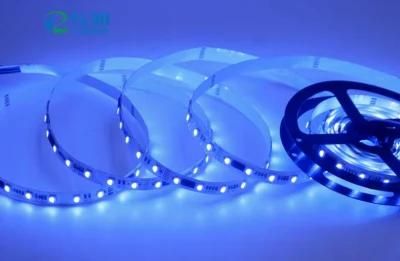 5050 RGBW Multi-Color 24V LED Strip LED Strip Lights