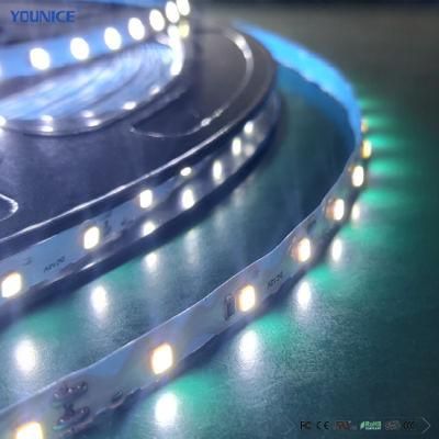 50m Per Roll LED Tape Lighting LED Strip