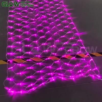 IP65 Christmas EU Plug LED Net Light for Party Garden Tree Decoration