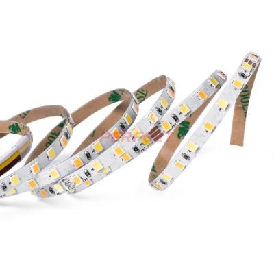 Mini Width SMD 2835 Dual Light CCT LED Strip with High CRI