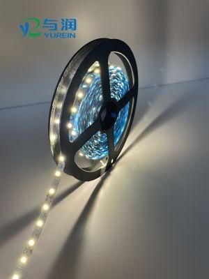 Waterproof LED Strip Lights S Shape LED Strip for Outdoor Lighting