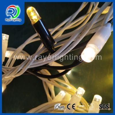 LED String Light LED Waterfall Curtain Light LED Outdoor Hotel Decoration