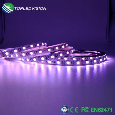 5050 4in1 Series and Super Brightness LED Strip 12V with TUV Ce Certfication