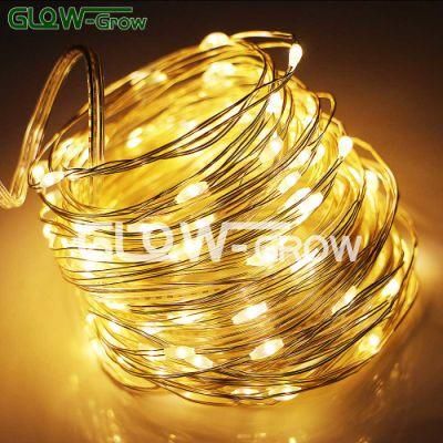 IP44 Copper Wire Warm White Christmas LED String Light Fairy Decoration Light with CE Adapter