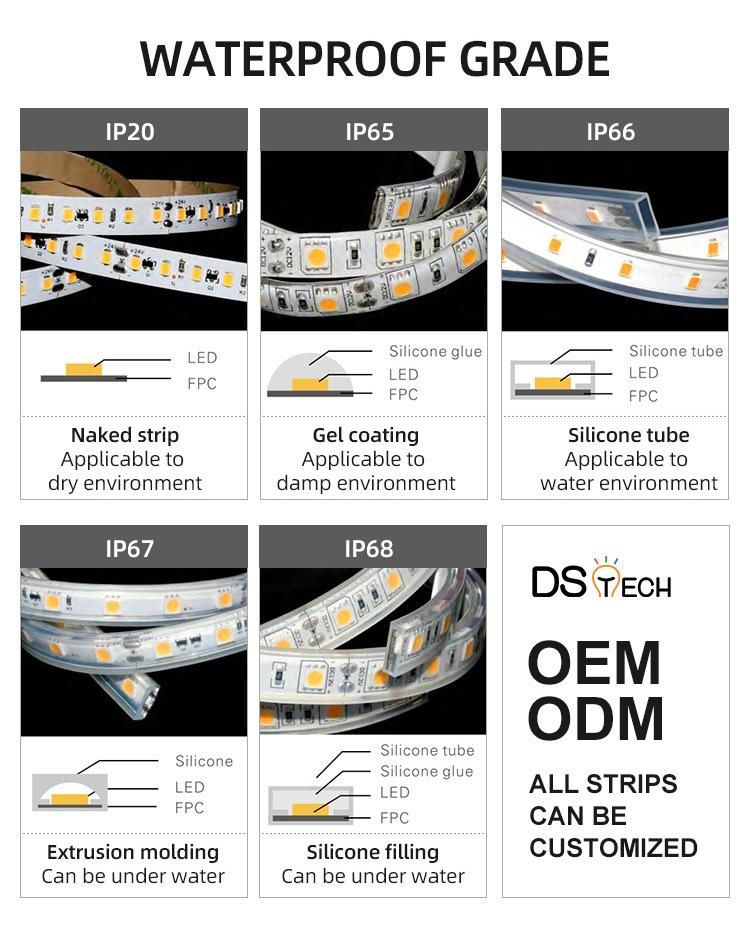 ETL 5year Warranty Classic SMD2835 8mm PCB 120LEDs 12W LED Strip Light