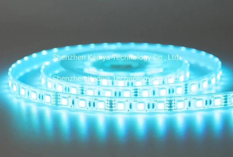 SMD 12V 24V LED Underwater Silicone Extrusion Waterproof IP68 Rope 5050 60 RGB Flexible LED Strip Light for Pool and Home Decoration Light