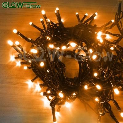 5m 50LEDs IP65 Orange LED Fairy String Light Event Decor for Home Wedding Party Ramadan Christmas Holiday Party