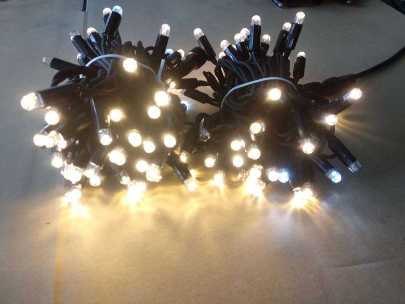 IP65 Christmas Light Garden Decoration Chain Light Rubber Wire LED with Cap and Insert Glue