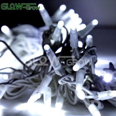 Commercial Grade Wide Angle 100 LED Pure White Rubber Cable LED String Light