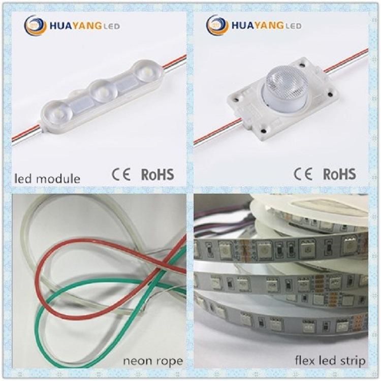 Programmable Digital Full Color LED Strip with 5050 12V/24V Chips