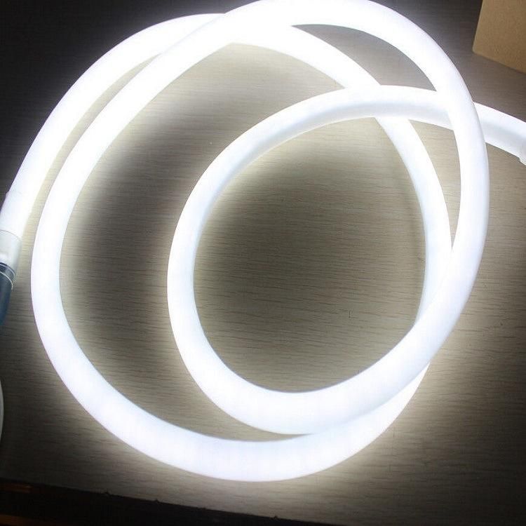 12V Flexible LED Neon Strip Light for Sale