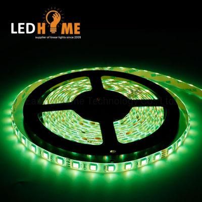 Waterproof SMD Strip SMD5050 Rgbww Strip with Ce RoHS CRI90