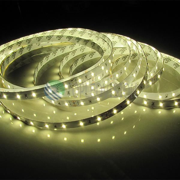 60LEDs/M 12watt/M 12V, 24V DC High Quality Flexible SMD2835 LED Strip