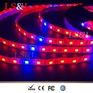 Plant Grow LED Strip Light with DC12/24V 60LEDs/M Ce &amp; RoHS