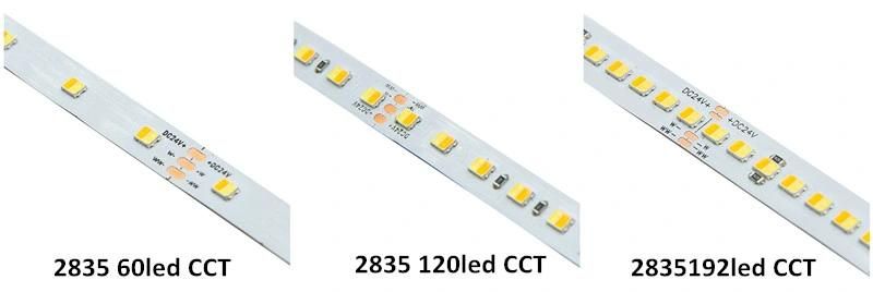 High Quality LED Light SMD2835 CCT 60LED Flexible LED Strip IP20 Double Color Strip for Decoration Lighting