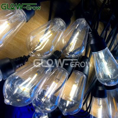 Connectable Festoon LED Party String Christmas Lights for Wedding Garden Home Shopping Mall Event Decoration