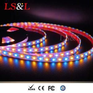 RGB+Amber Waterproof High Brightness LED Strip Light Rope Home Lighting