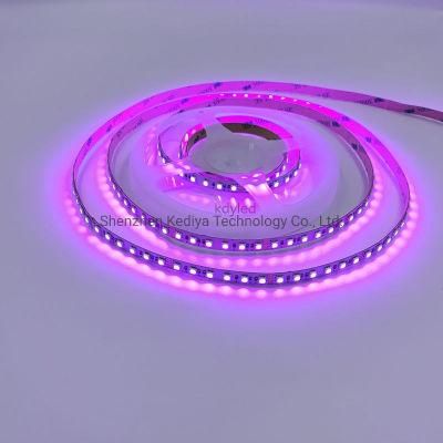 High Brightness SMD 3838 Color Changing LED RGB 120LEDs 5m 24V LED Strip