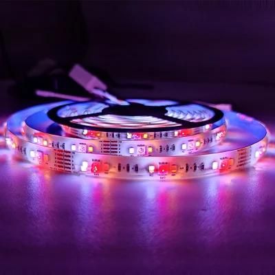 Unique Design Flexible LED Strip for Room with Remote Control