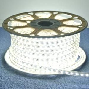 SMD5050 Flexible Rope LED Strips Light as Building Decoration