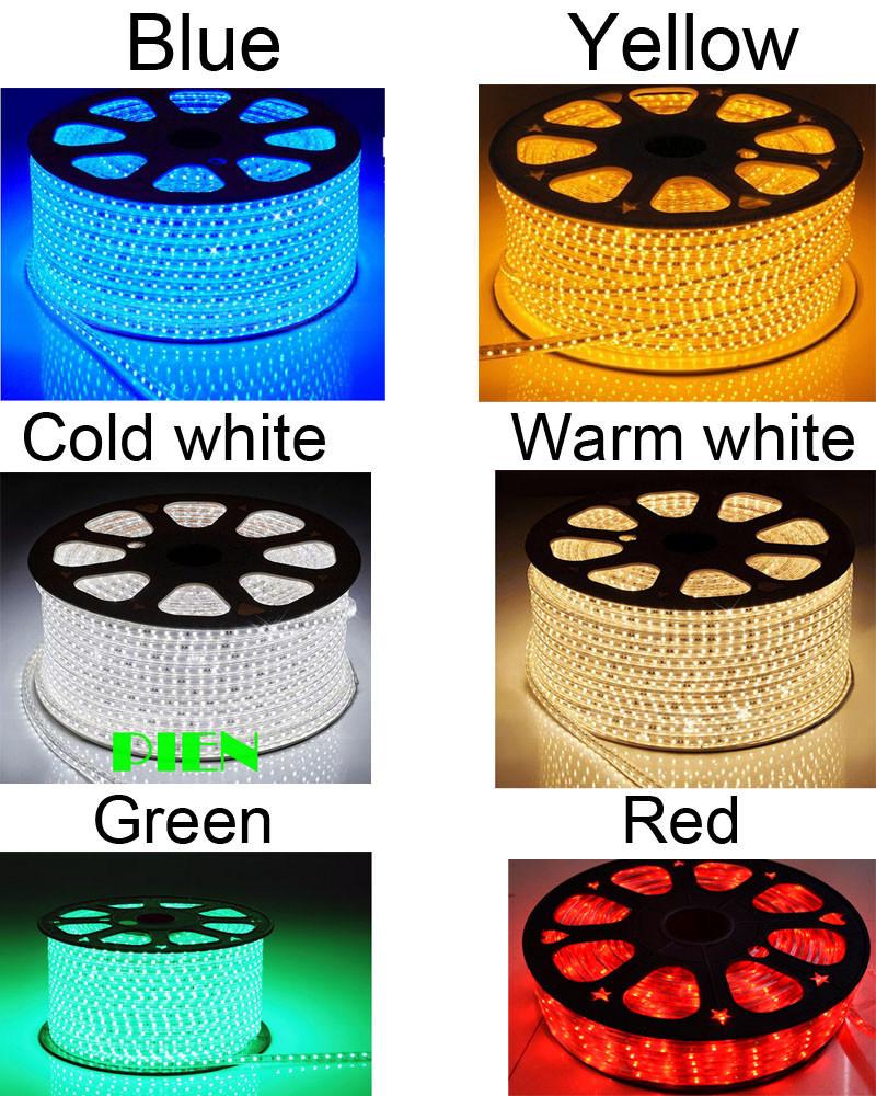 RGBW RGB 4000K Orange Double Row Flat Round Rope Light IP67 Waterproof 110V 220V LED Strip Light