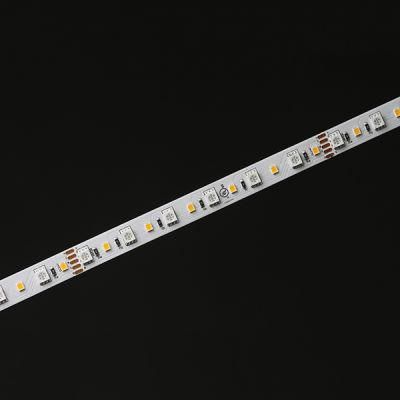 RGBW IP20 Indoor Strip Lights LED Ribbon Lighting for Decoration