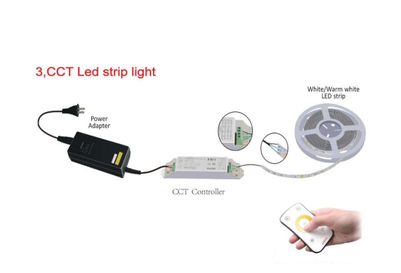High Quality SMD2216 240 LEDs CRI95 CCT LED Strip Light
