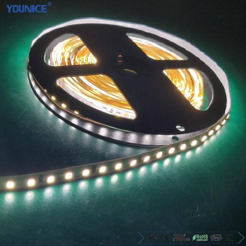 60LEDs Per Meter Long Cascade High Quality LED Flexible Strip