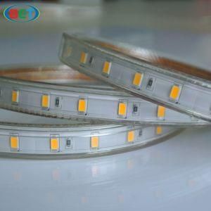 120V 277V SMD5630 Light Flexible Dimmable LED Strip