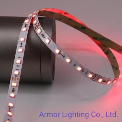 Wholesale Chip Linear LED Strip Light RGB+W 5050 60LED DC24V for Decorate