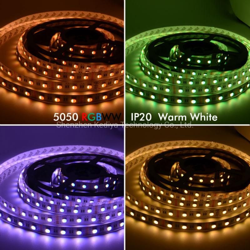 SMD5050 14.4W/M 60LED 84LED 96LED 120LED RGBW 2700K Rgbnw 4000K RGBW 6000K 4 in 1 LED Strip Light IP20&IP65 with Silicone