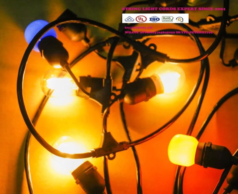 G40 String Lights +2 Spare Bulbs 30 Edison Style Globe Bulbs 25 Foot UL Outdoor Light String